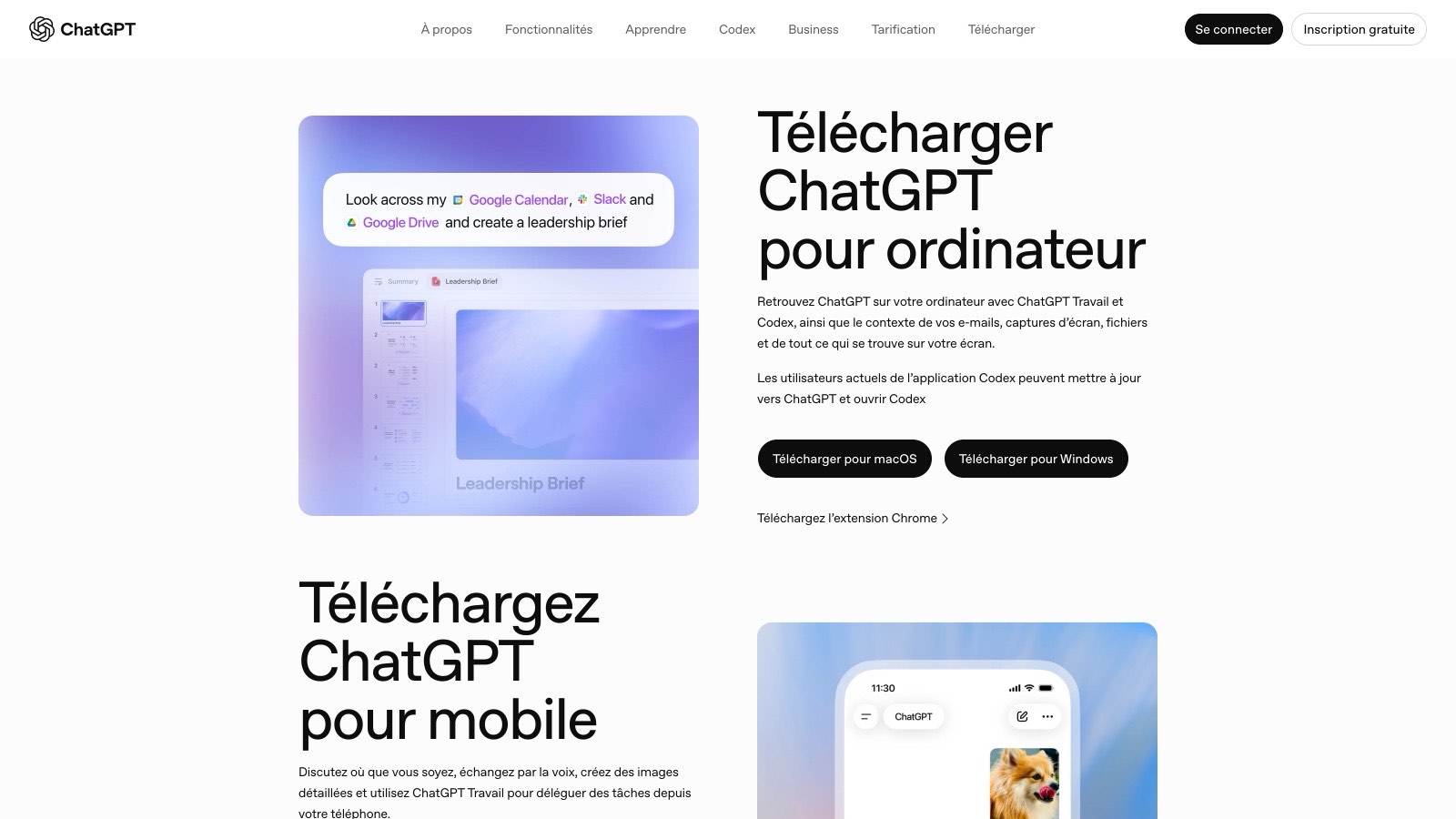 Aperçu de l'interface