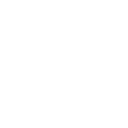 Udio